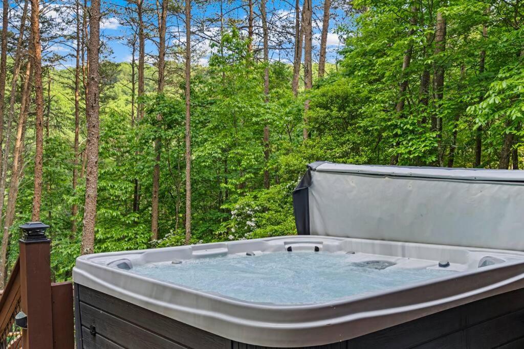 Lakeside Retreat Hot Tub Fishing Hiking Ellijay Kültér fotó