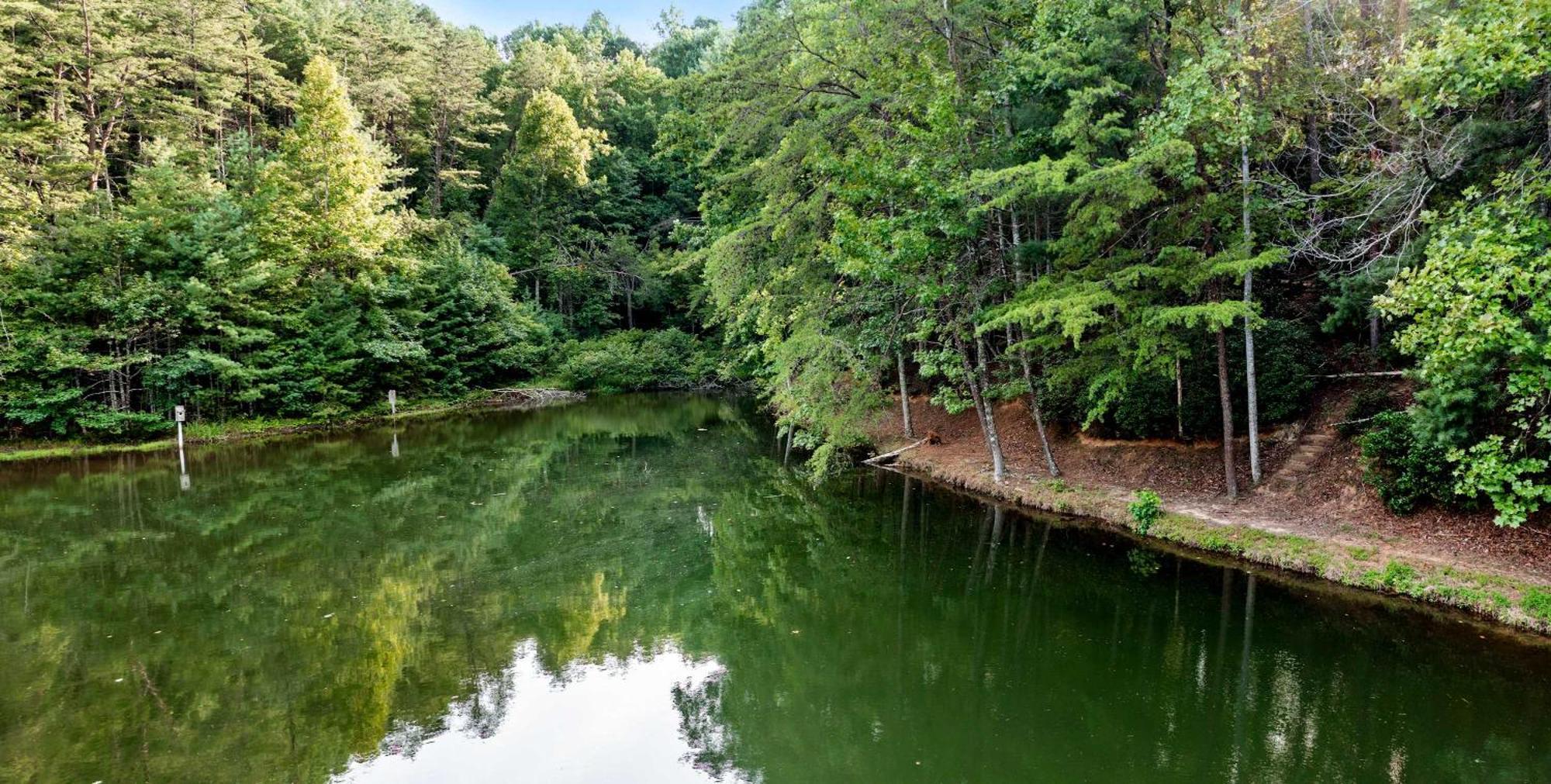 Lakeside Retreat Hot Tub Fishing Hiking Ellijay Kültér fotó